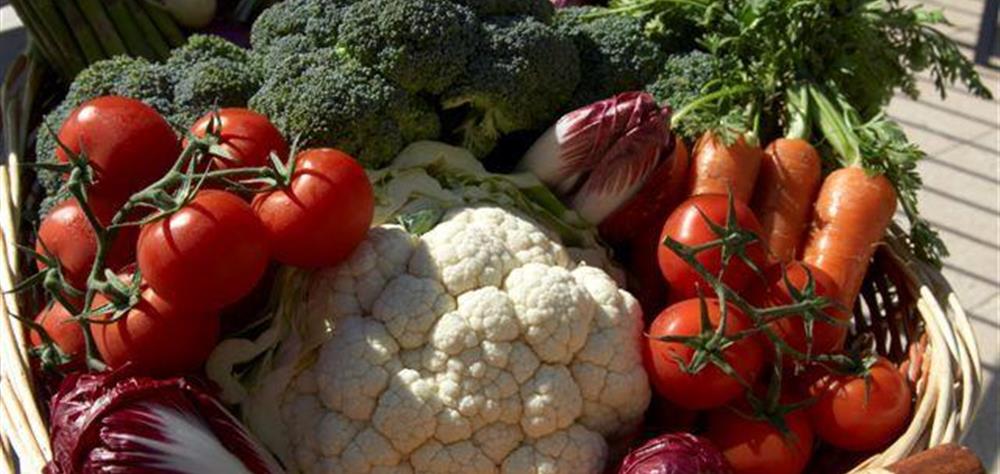 Fresh Vegetables from Market - Hotel Belle-Vue Fouesnant